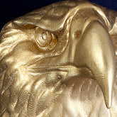 Bald Eagle Interchangeable Brass Knocker Head